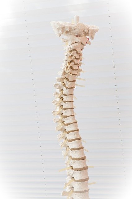 spine_specialist