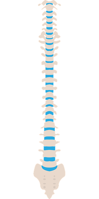 spinal_care