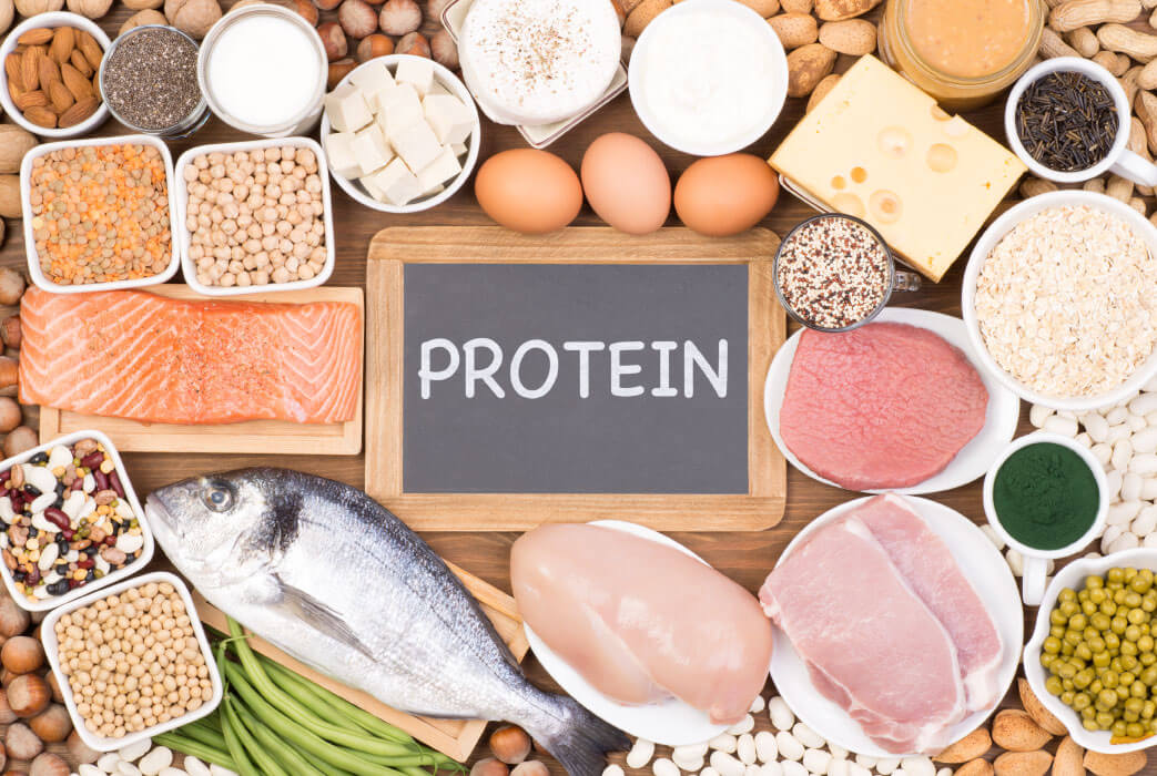 new research on protein intake