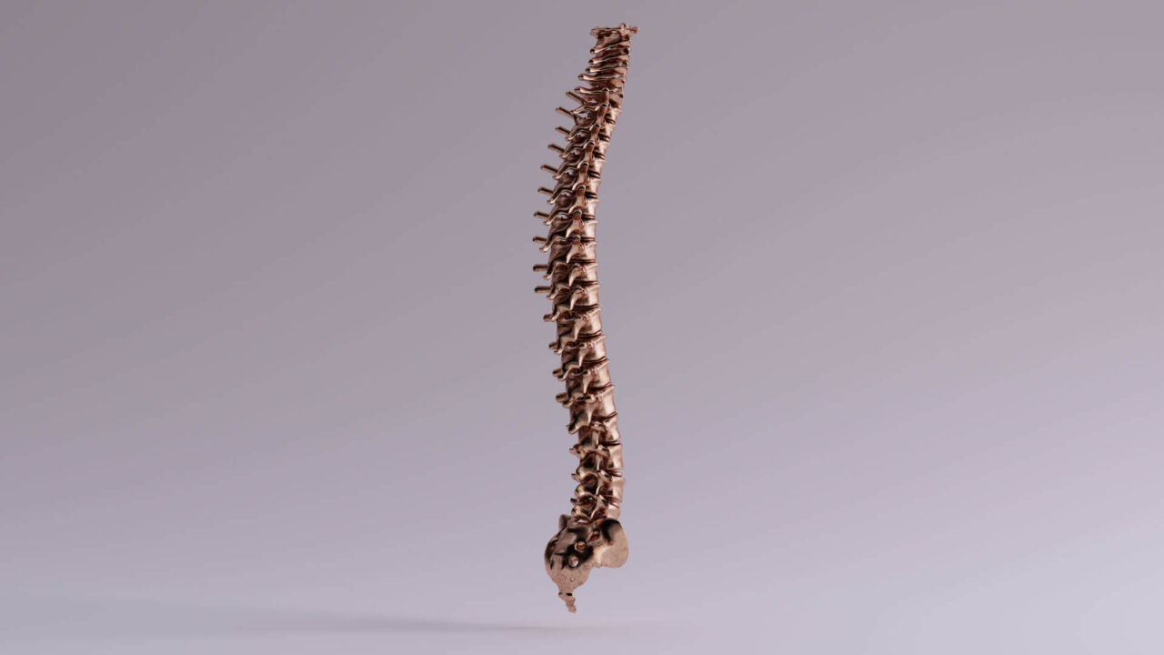 What Protects the Spinal Cord? Neurosurgery & Spine Consultants